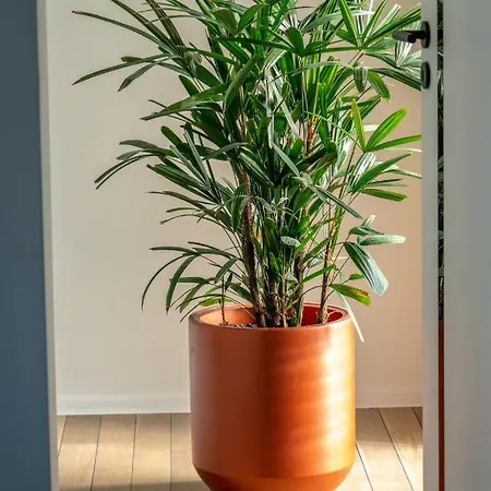 Appartement Raj V Slovenskom Raji 2 Samostatné *